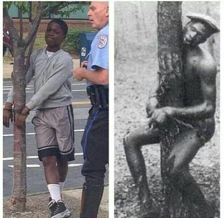 Tied a Tree :: MercyfulGrace.com