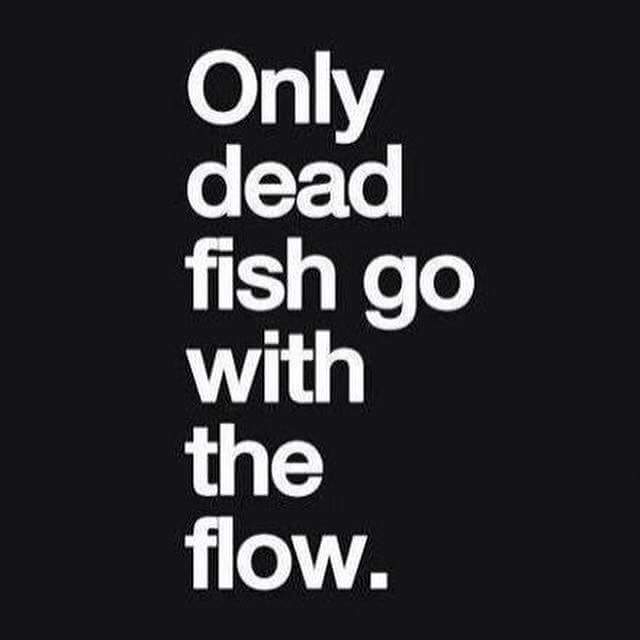 MercyfulGrace.com - Beyonce image